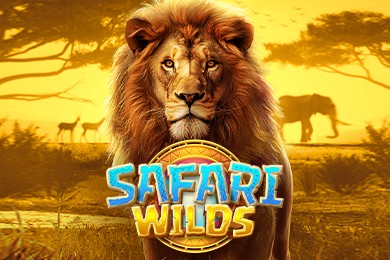 Safariwilds играть в ФейрСпин Казино